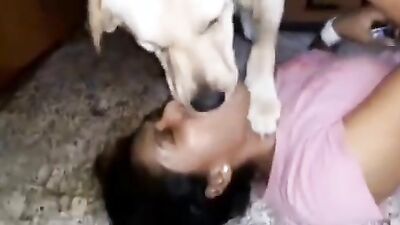 Girls 5 dogs: accidental bestiality porn