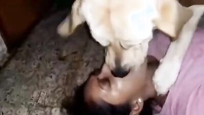 Girls 5 dogs: accidental bestiality porn