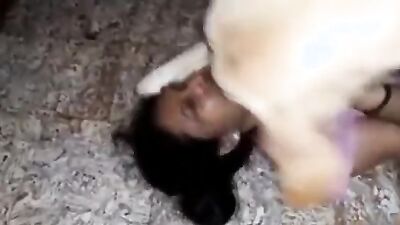 Girls 5 dogs: accidental bestiality porn