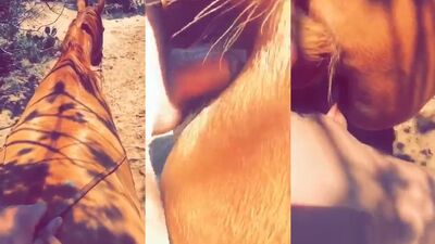Girl dog video: evalina bestiality
