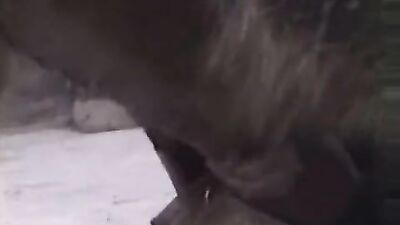 Girls s dogs: dog day cat nap sex