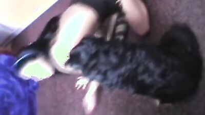 1 girl 5 dog: black bestiality