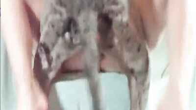 Zoo sex porno: mimi typh dog girl