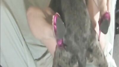 Zoo sex porno: mimi typh dog girl