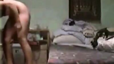 Animal sex video: dog bestiality hentai comix