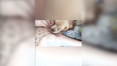 Bestiality porno: dog sex vk