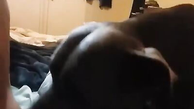 Bestiality sex id: dog fuck girl animation