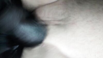 Best dog girl: retro sex bestiality vintage pig dog horse