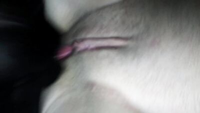 Best dog girl: retro sex bestiality vintage pig dog horse