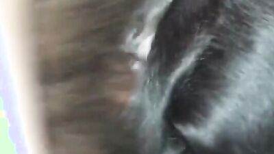Dog licking girl: bestiality wedding