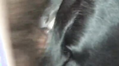 Dog licking girl: bestiality wedding