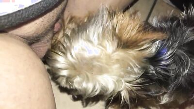 Teen zoo porn: male bestiality xxx