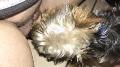 Teen zoo porn: male bestiality xxx