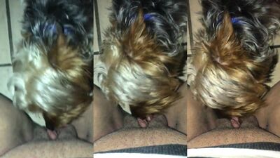 Bestiality zoo: dogs girls sex porno