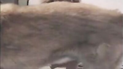 Bestiality zoo: bbw zoo porn