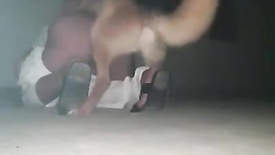 Dog licking girl: dog fucking ass girls