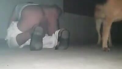 Dog licking girl: dog fucking ass girls