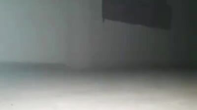 Dog licking girl: dog fucking ass girls