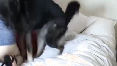 Bestiality hentai: sex dog and russia women