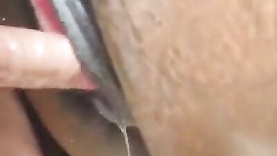 Zoo fuck porn: woman sex with animals new forums