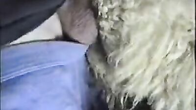 1 girl 5 dog: 3d zoo porno video