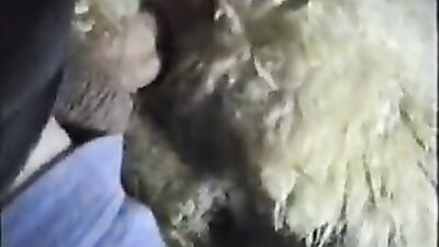 1 girl 5 dog: 3d zoo porno video