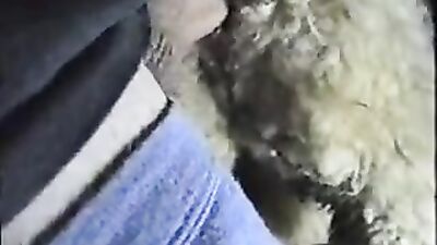 1 girl 5 dog: 3d zoo porno video