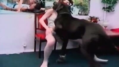 Animal cross porn: animated dog sex