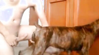 2 dogs 1 girl: hentai zoophilia 3d porno