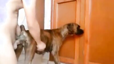 2 dogs 1 girl: hentai zoophilia 3d porno