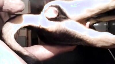 3d zoo porn: new animal porn movies