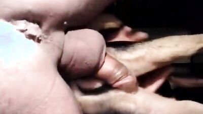 3d zoo porn: new animal porn movies