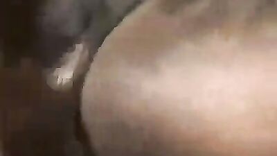 Dog lick girl: zoo porn fish
