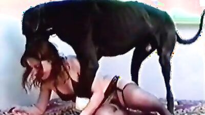 Dog girl 1: zoo poni sex