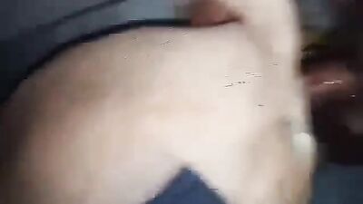 2 dogs 1 girl: porn bestiality lena