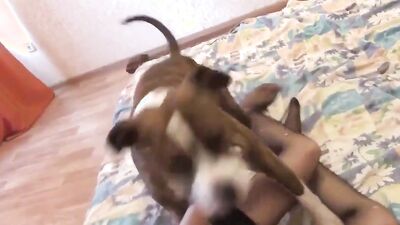 Dog girl play: artofzoo video zoo