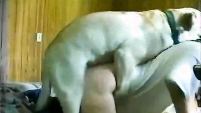 Girl cat dog: alisonprod bestiality porn