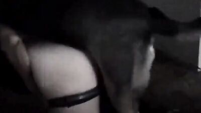 Animal sex porn: dog cum in pussy porn