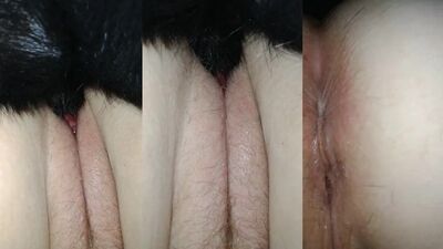 Zoophilia: raven quest zoo porn