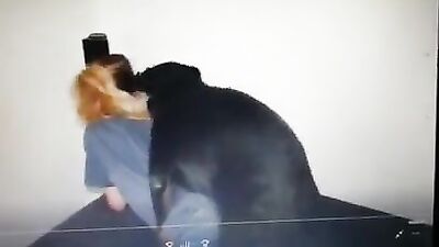 Bestiality comics: zoo sex xyz