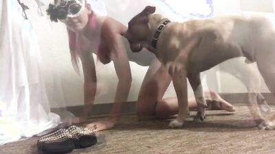 Zoo sex porn: animal porn pack