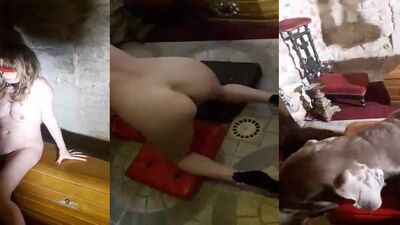 Bestiality porn: new bestiality zoo porno