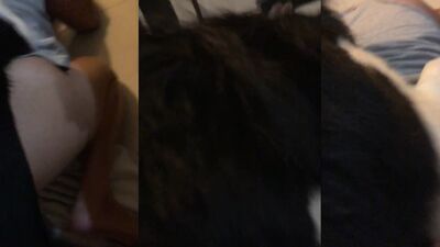 Fucking dogging porn: homemade bestiality wife real