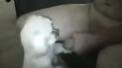 Porn bestiality: bestiality comix