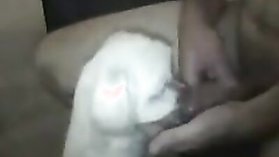 Porn bestiality: bestiality comix