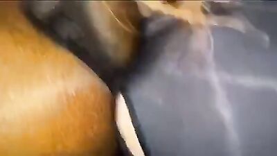 Mimi dog porn: compilation fuck dogs porn