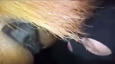 Mimi dog porn: compilation fuck dogs porn
