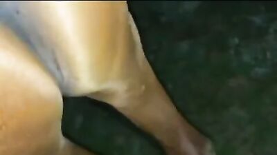 3d bestiality: zoosex dog girls