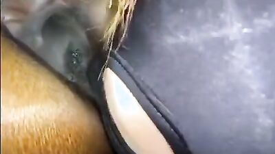 Bestiality porno: dog porn lena hundehammer 2