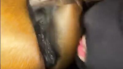 Bestiality porno: dog porn lena hundehammer 2